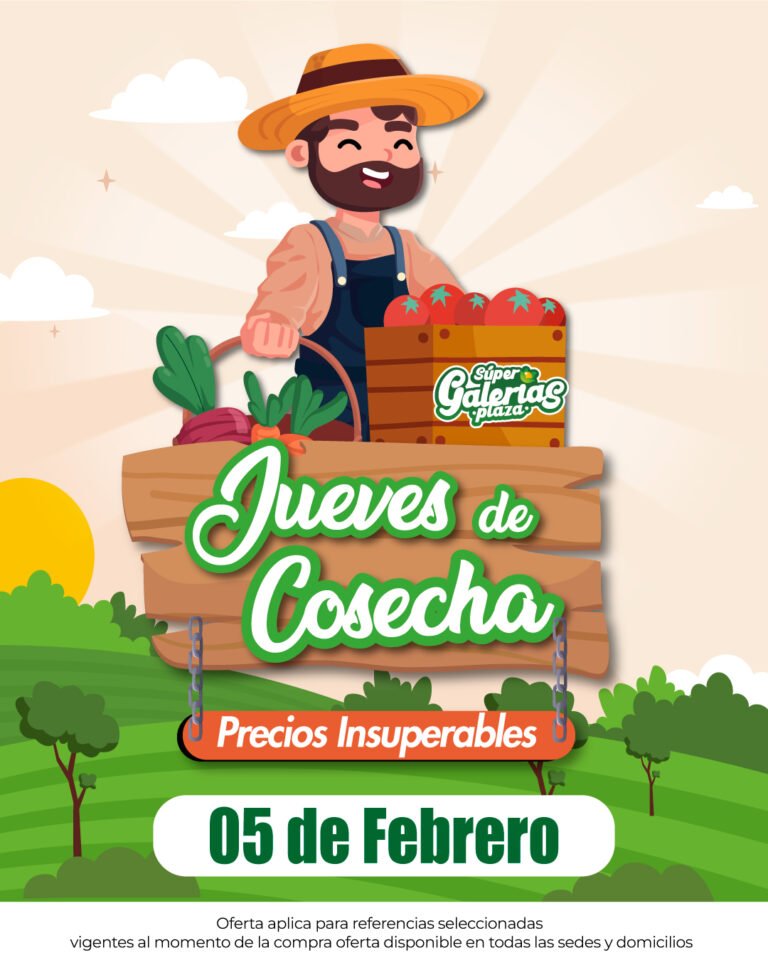 Supermercado Galerias plaza